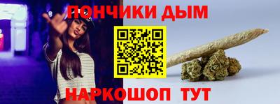 шишки Заводоуковск